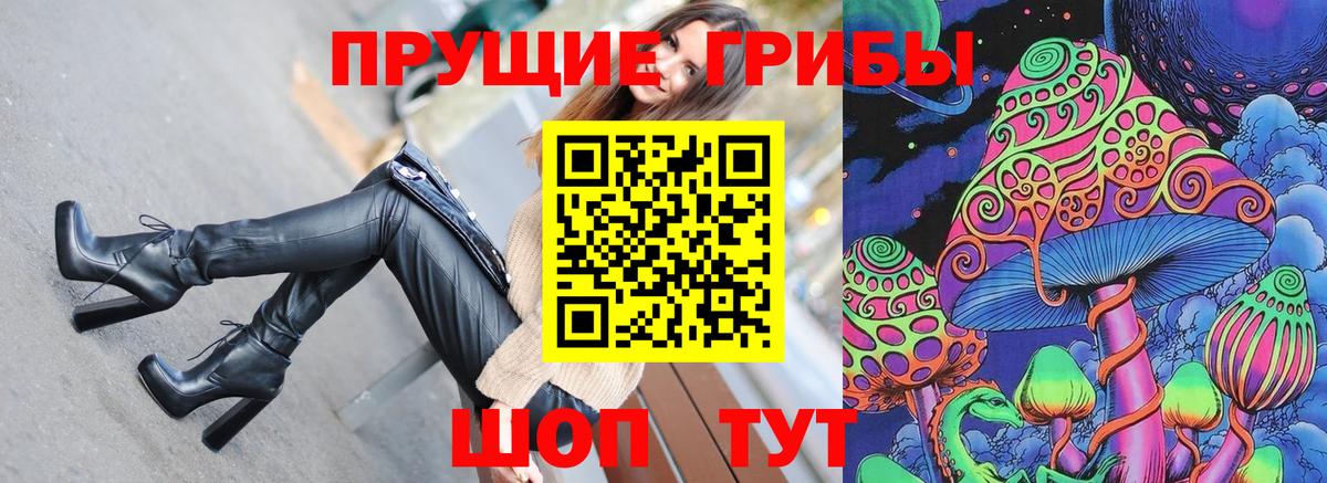 Пенза  Галлюциногенные грибы Cubensis  Псилоцибиновые грибы Cubensis  Вход с VPN 
